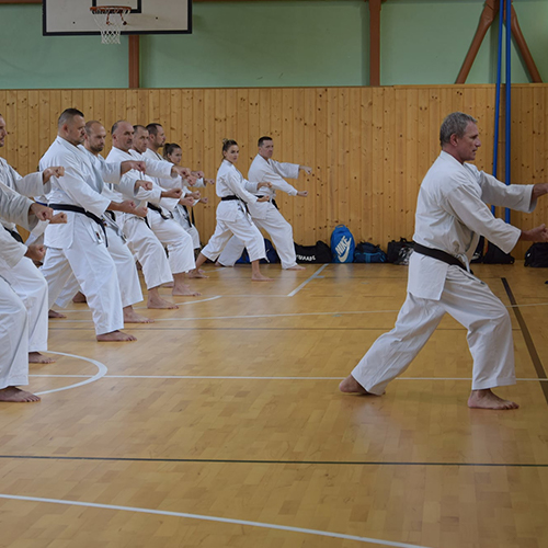 Karate Klub Kumade